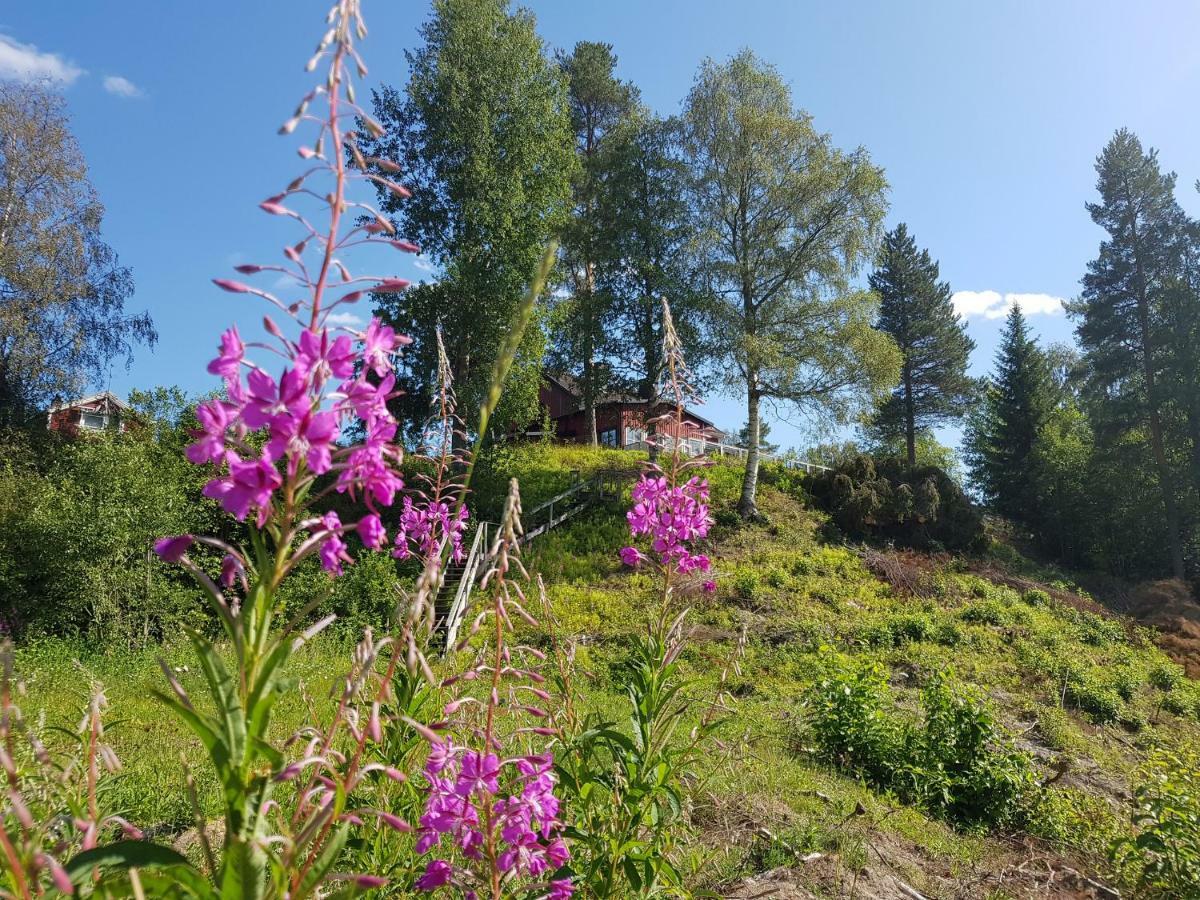 Bjoernforsens Turist & Konferenshotell, Naera Husum, Oernskoeldsvik Bjorna 外观 照片