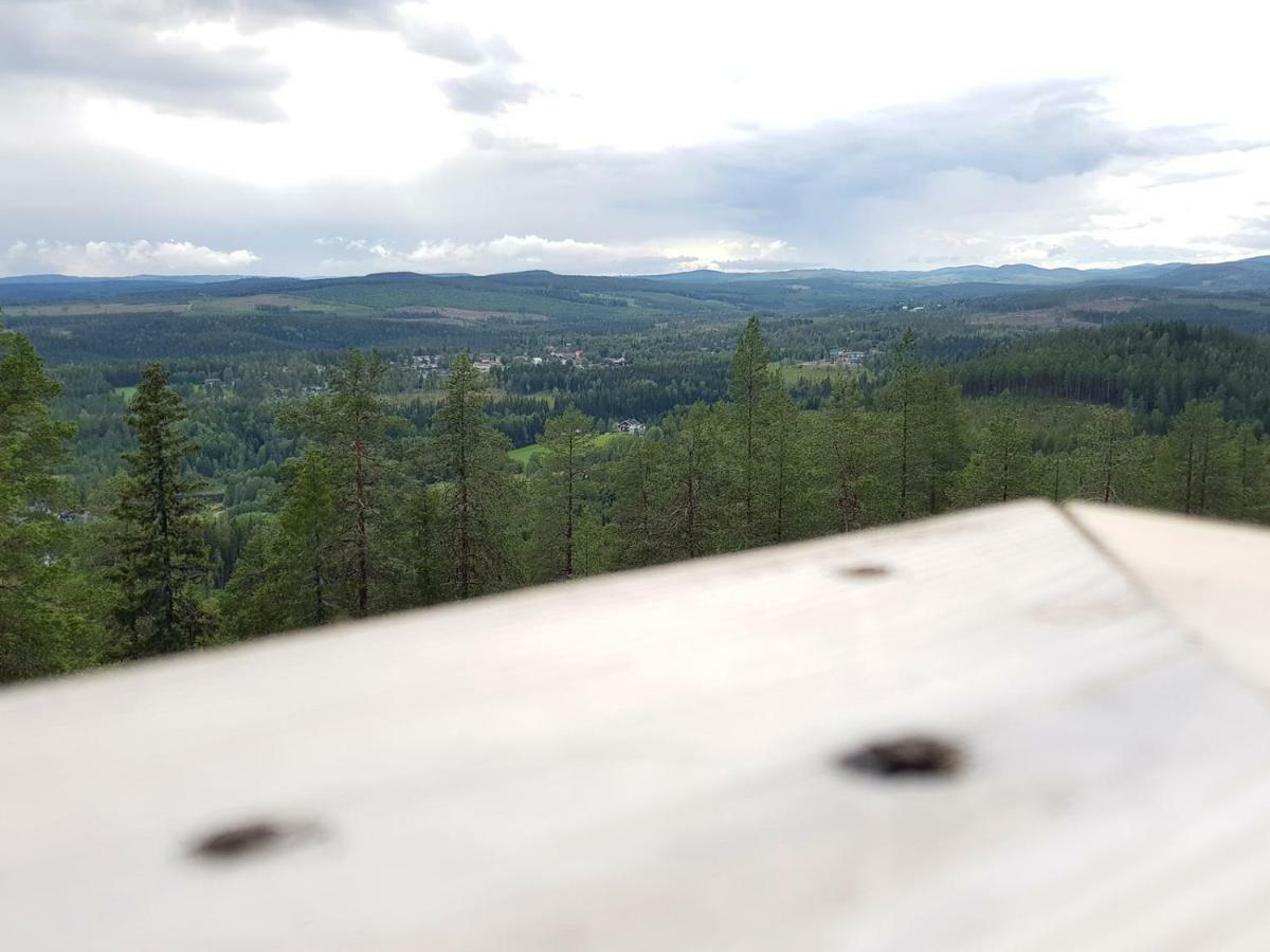 Bjoernforsens Turist & Konferenshotell, Naera Husum, Oernskoeldsvik Bjorna 外观 照片